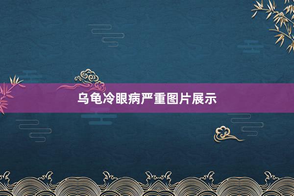乌龟冷眼病严重图片展示