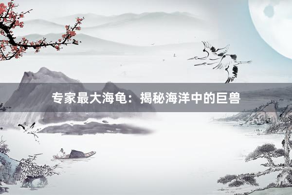 专家最大海龟：揭秘海洋中的巨兽